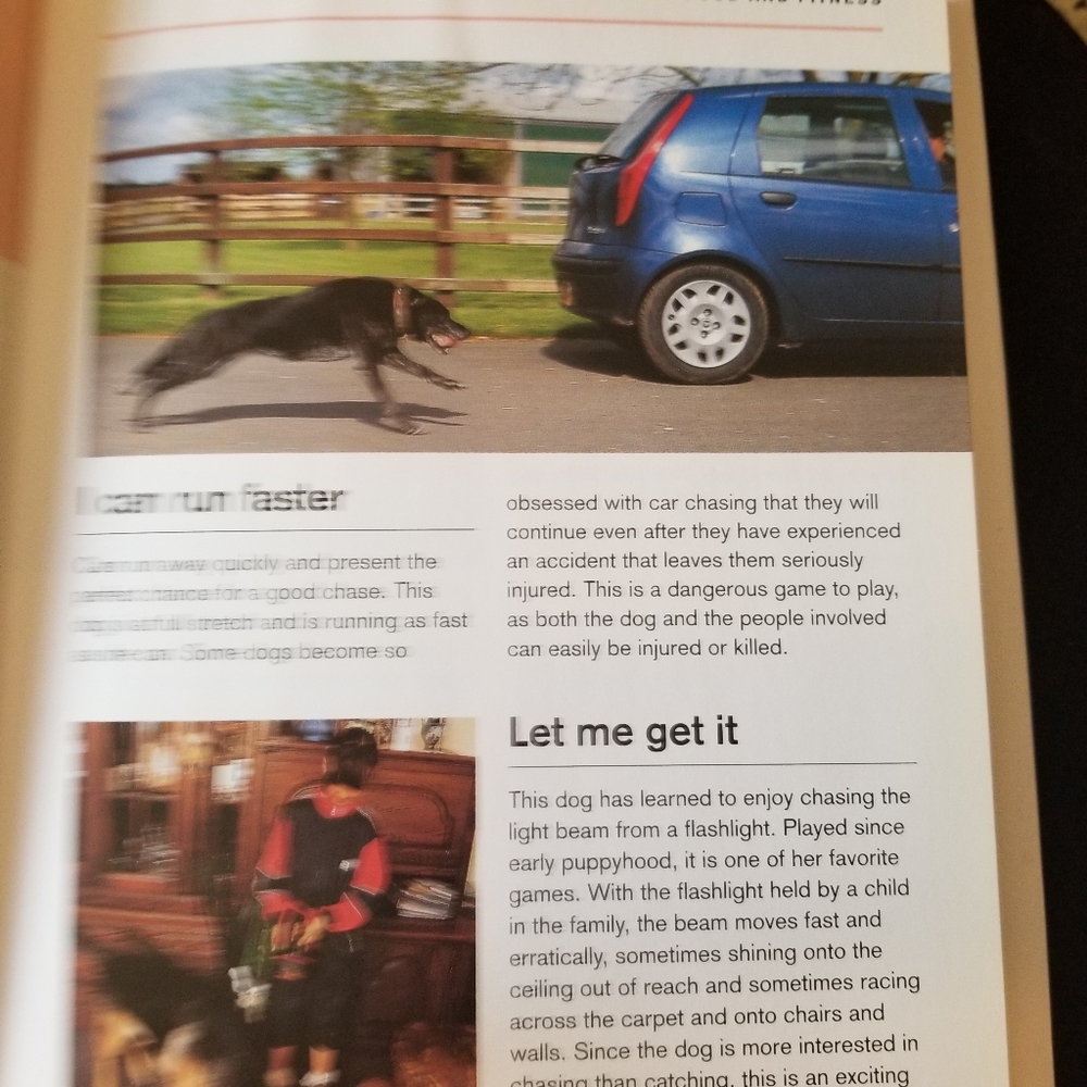 Dog Book - Picture 8 of 14
